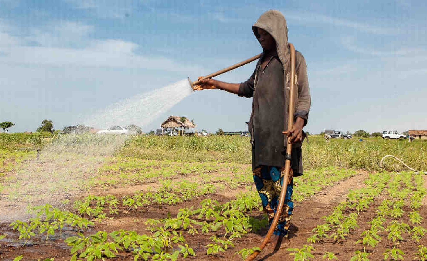 NEWSLETTER du 14 juillet – 18 juillet 2025